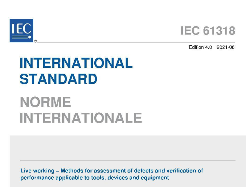 IEC 61318:2021